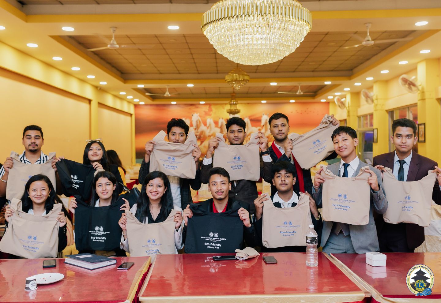 Eco Friendly Grocery Bag Launch